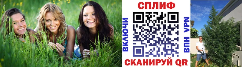Названия наркотиков Ивантеевка Бошки Шишки  КОКАИН  ГАШ  МЕФ 