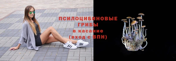 метадон Заволжск