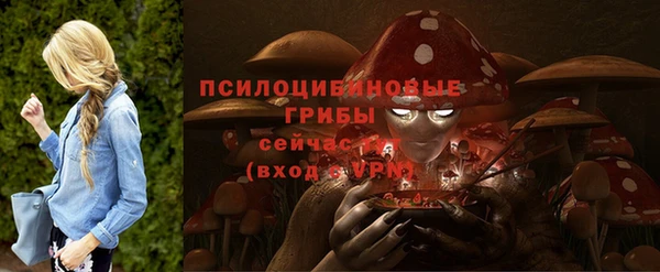 метадон Заволжск