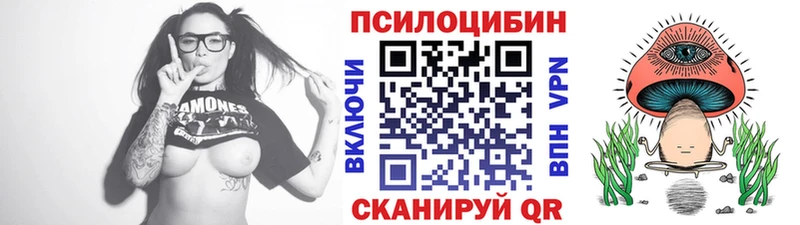 наркотики Ивантеевка мега ссылка нарко площадка формула Псилоцибиновые грибы Magic Shrooms